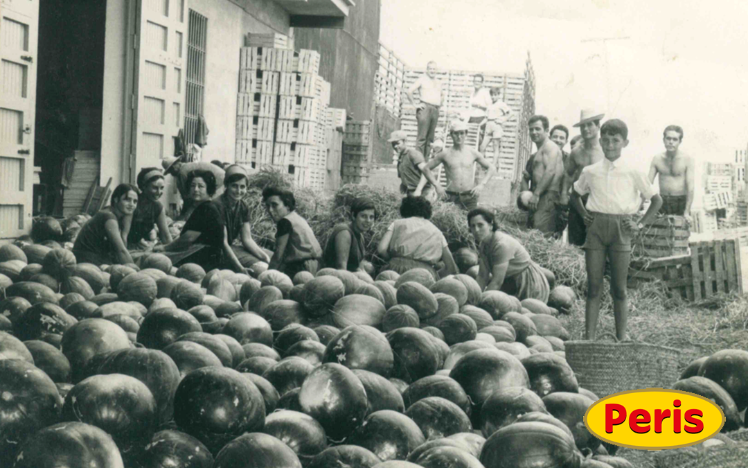 Foto antigua de la huerta de Valencia. Vicente Peris productor de melón, frutas y verduras